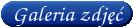 Galeria zdjęć